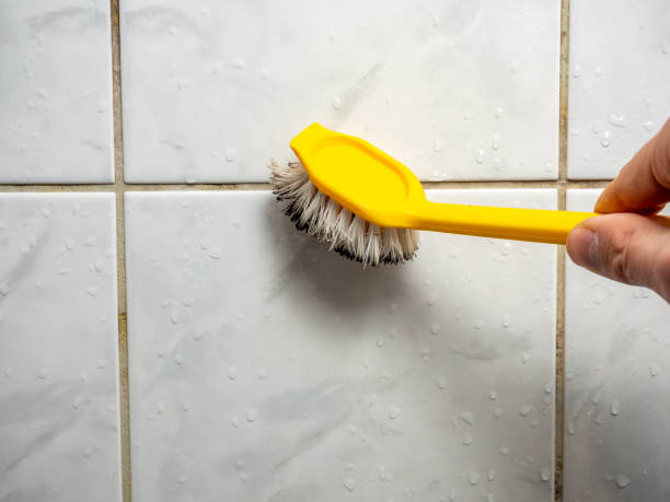 Best Mold Testing  in North Branch, MI
