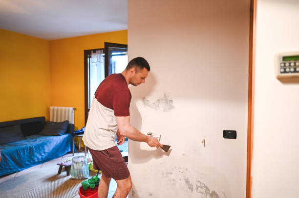 Trusted North Branch, MI Mold Removal Experts